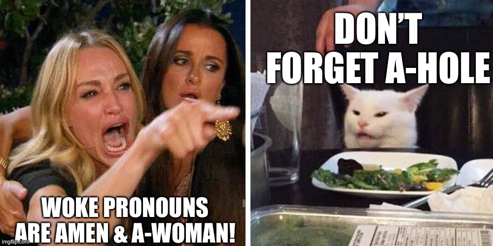 Woke Pronouns Include Amen & A-Woman, | DON’T FORGET A-HOLE; WOKE PRONOUNS ARE AMEN & A-WOMAN! | image tagged in smudge the cat,woke pronouns,amen awoman,ahole | made w/ Imgflip meme maker