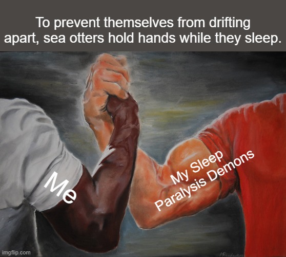 image title | To prevent themselves from drifting apart, sea otters hold hands while they sleep. My Sleep Paralysis Demons; Me | image tagged in memes,epic handshake | made w/ Imgflip meme maker