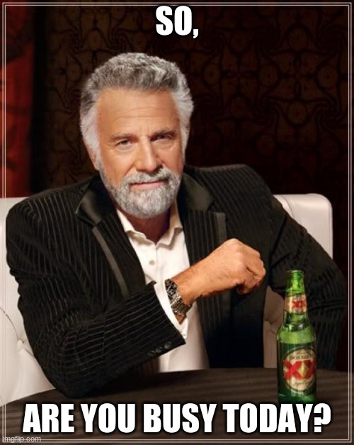 you busy |  SO, ARE YOU BUSY TODAY? | image tagged in memes,the most interesting man in the world | made w/ Imgflip meme maker