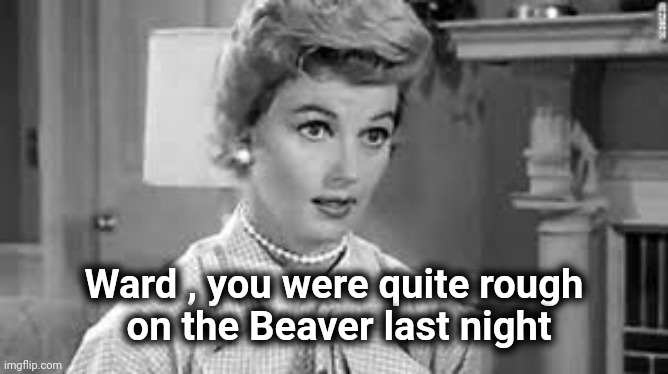 june cleaver | Ward , you were quite rough
 on the Beaver last night | image tagged in june cleaver | made w/ Imgflip meme maker