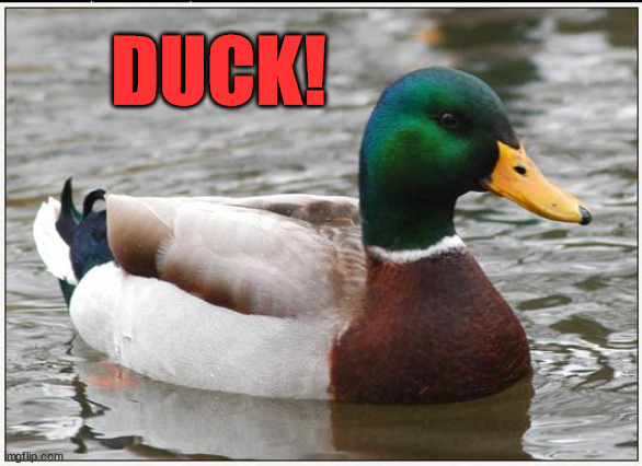 Actual Advice Mallard Meme | DUCK! | image tagged in memes,actual advice mallard | made w/ Imgflip meme maker