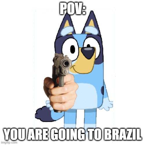 noooo | POV:; YOU ARE GOING TO BRAZIL | image tagged in brazil,bluey | made w/ Imgflip meme maker