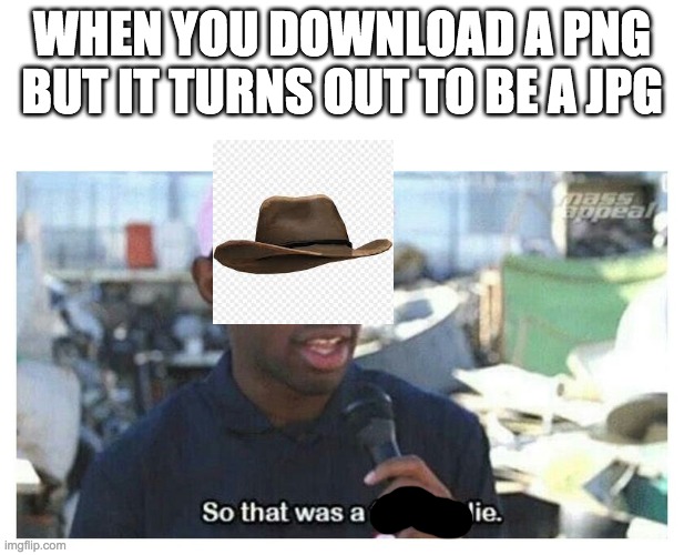 So That Was A F---ing Lie | WHEN YOU DOWNLOAD A PNG BUT IT TURNS OUT TO BE A JPG | image tagged in so that was a f---ing lie | made w/ Imgflip meme maker
