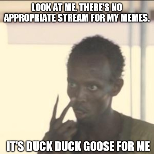 Look At Me | LOOK AT ME. THERE'S NO APPROPRIATE STREAM FOR MY MEMES. IT'S DUCK DUCK GOOSE FOR ME | image tagged in memes,look at me | made w/ Imgflip meme maker