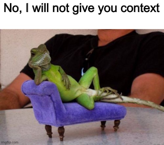 Sassy Iguana | No, I will not give you context | image tagged in memes,sassy iguana | made w/ Imgflip meme maker