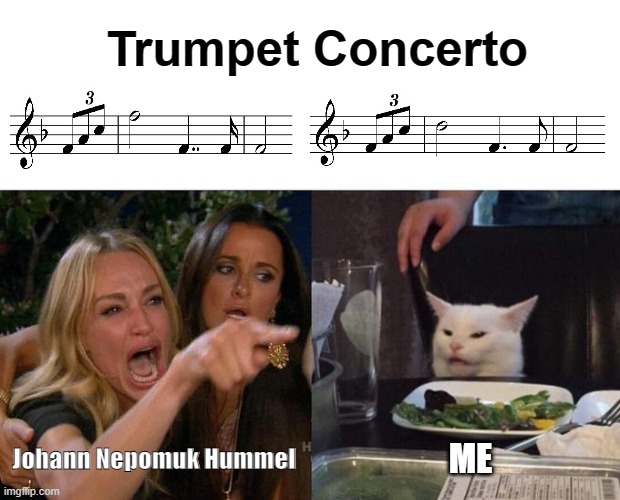 Trumpet Student | Trumpet Concerto; Johann Nepomuk Hummel; ME | image tagged in memes,woman yelling at cat | made w/ Imgflip meme maker