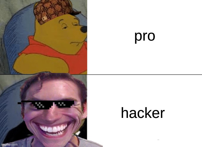 pro vs hacker | pro; hacker | image tagged in memes,tuxedo winnie the pooh | made w/ Imgflip meme maker
