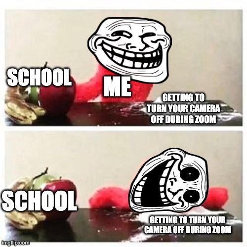 Every Student During Coronavirus | SCHOOL; ME; GETTING TO TURN YOUR CAMERA OFF DURING ZOOM; SCHOOL; GETTING TO TURN YOUR CAMERA OFF DURING ZOOM | image tagged in elmo cocaine | made w/ Imgflip meme maker
