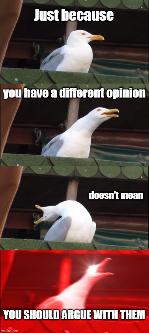 respect other opinions if even if you disagree |  Just because; you have a different opinion; doesn't mean; YOU SHOULD ARGUE WITH THEM | image tagged in memes,inhaling seagull,funny,original meme,opinion | made w/ Imgflip meme maker