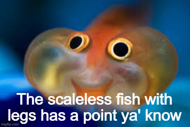 Happy fish | The scaleless fish with legs has a point ya' know | image tagged in happy fish | made w/ Imgflip meme maker