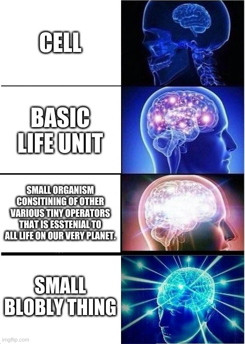 Cells, am I right? | CELL; BASIC LIFE UNIT; SMALL ORGANISM CONSITINING OF OTHER VARIOUS TINY OPERATORS THAT IS ESSTENIAL TO ALL LIFE ON OUR VERY PLANET. SMALL BLOBLY THING | image tagged in memes,expanding brain,cells,why are you reading the tags | made w/ Imgflip meme maker