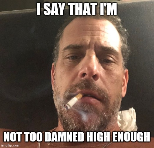 Hunter Biden | I SAY THAT I'M NOT TOO DAMNED HIGH ENOUGH | image tagged in hunter biden | made w/ Imgflip meme maker