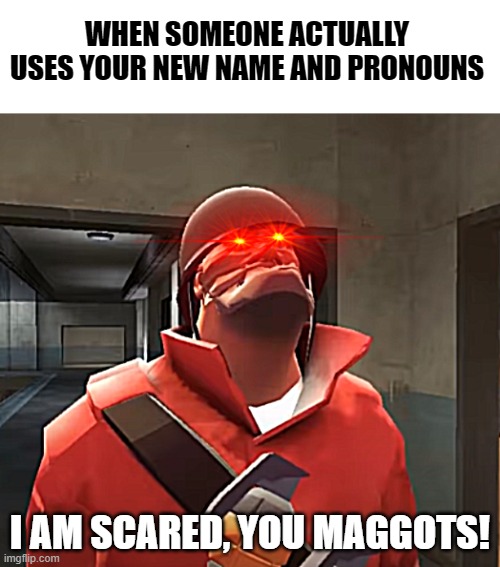 Bored, So imma just keep making memes xD | WHEN SOMEONE ACTUALLY USES YOUR NEW NAME AND PRONOUNS; I AM SCARED, YOU MAGGOTS! | image tagged in tf2,lgbt,pronouns,soldier,i am scared you maggots,memes | made w/ Imgflip meme maker