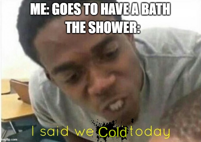 Literally why??? | ME: GOES TO HAVE A BATH; THE SHOWER:; Cold | image tagged in i said we ____ today | made w/ Imgflip meme maker