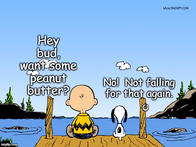 Charlie brown  | Hey bud, want some peanut butter? No!  Not falling for that again. | image tagged in charlie brown | made w/ Imgflip meme maker