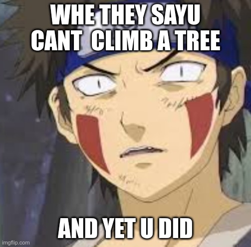 WHE THEY SAYU CANT  CLIMB A TREE; AND YET U DID | image tagged in kiba | made w/ Imgflip meme maker
