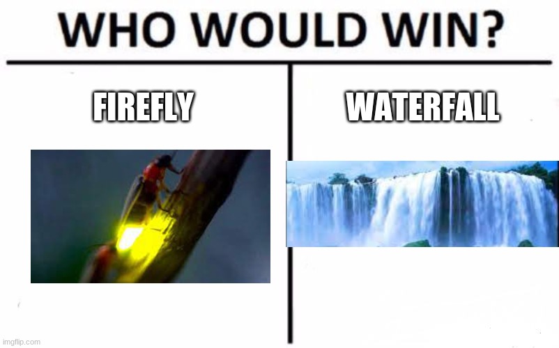 Who Would Win? Meme | FIREFLY WATERFALL | image tagged in memes,who would win | made w/ Imgflip meme maker