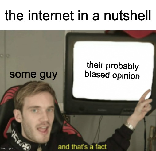 and that's a fact | the internet in a nutshell; their probably biased opinion; some guy | image tagged in and that's a fact,internet,memes | made w/ Imgflip meme maker