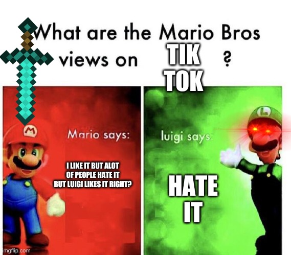 e | TIK TOK; HATE IT; I LIKE IT BUT ALOT OF PEOPLE HATE IT BUT LUIGI LIKES IT RIGHT? | image tagged in mario bros views | made w/ Imgflip meme maker