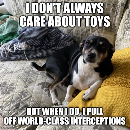 doggy toy interceptions | I DON’T ALWAYS CARE ABOUT TOYS; BUT WHEN I DO, I PULL OFF WORLD-CLASS INTERCEPTIONS | image tagged in the most interesting dog in the world,toy interceptions,toy motivated,dogs | made w/ Imgflip meme maker