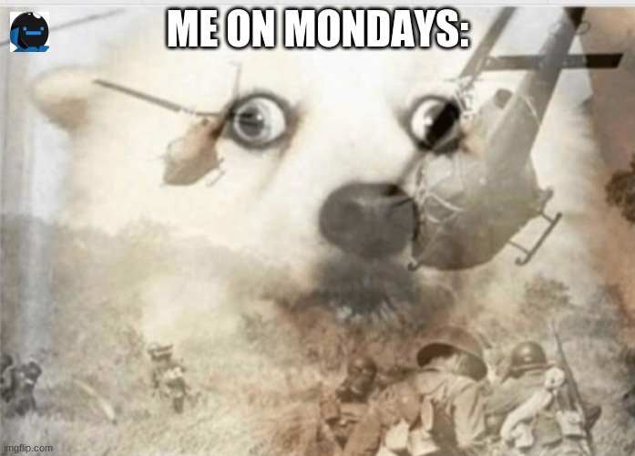 WAR | ME ON MONDAYS: | image tagged in ptsd dog | made w/ Imgflip meme maker