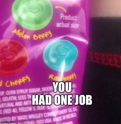 you had one job | image tagged in funny,funny memes,funny meme,lol so funny | made w/ Imgflip meme maker