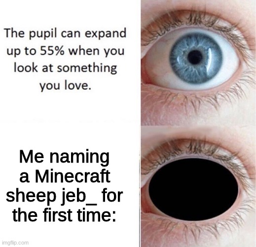 jeb_ | Me naming a Minecraft sheep jeb_ for the first time: | image tagged in dank,dank memes,funny,funny memes,funny meme,minecraft memes | made w/ Imgflip meme maker