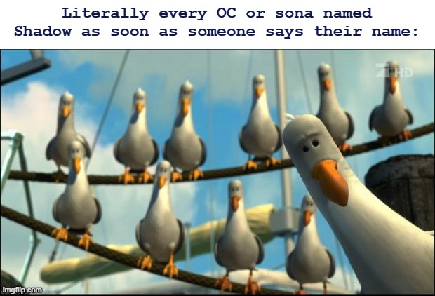 Let's be honest, it's pretty common. It's why Shadow is a nickname for one OC of mine, and my feathersona has a middle name. | Literally every OC or sona named Shadow as soon as someone says their name: | image tagged in nemo seagulls mine | made w/ Imgflip meme maker