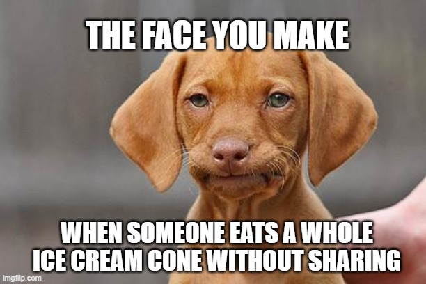 Dissapointed puppy | THE FACE YOU MAKE; WHEN SOMEONE EATS A WHOLE ICE CREAM CONE WITHOUT SHARING | image tagged in dissapointed puppy | made w/ Imgflip meme maker