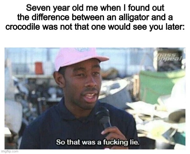 So That Was A F---ing Lie | Seven year old me when I found out the difference between an alligator and a crocodile was not that one would see you later: | image tagged in so that was a f---ing lie | made w/ Imgflip meme maker