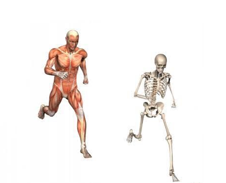 High Quality running skeleton Blank Meme Template