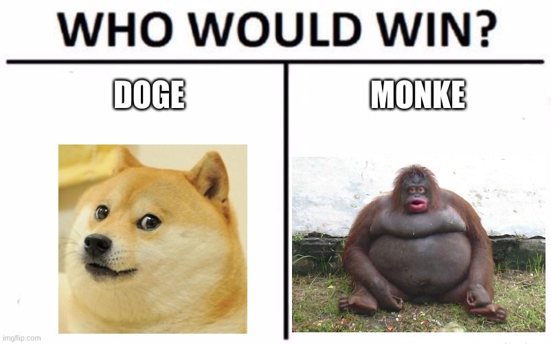 Comment who you think would win | DOGE; MONKE | image tagged in memes,who would win | made w/ Imgflip meme maker
