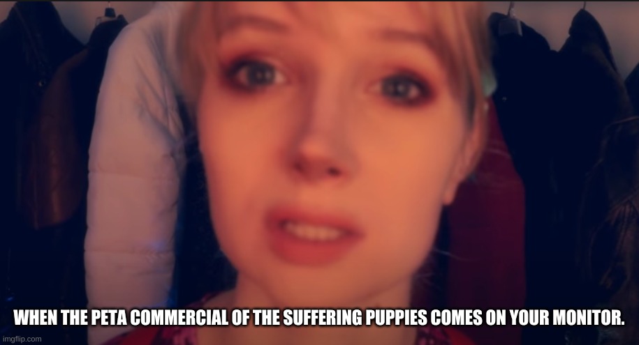 PETA Commercial | WHEN THE PETA COMMERCIAL OF THE SUFFERING PUPPIES COMES ON YOUR MONITOR. | image tagged in bluewhisper,peta,emotion,clicbait,beagles | made w/ Imgflip meme maker