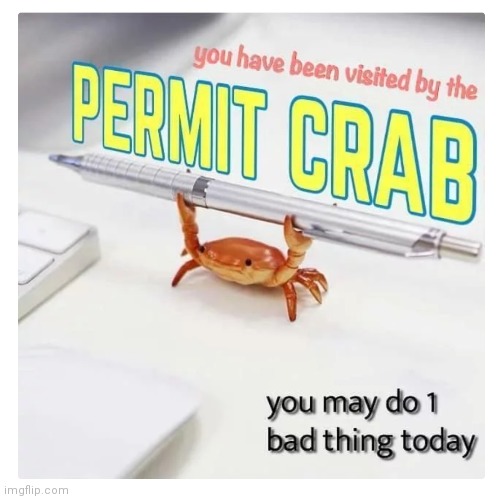 Except kill yourself. And preferably not someone else unless they totally deserve it. | image tagged in permit crab | made w/ Imgflip meme maker