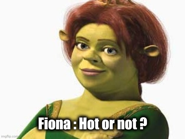 Princess Fiona | Fiona : Hot or not ? | image tagged in princess fiona | made w/ Imgflip meme maker