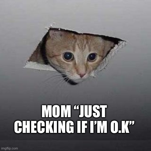 Ceiling Cat | MOM “JUST CHECKING IF I’M O.K” | image tagged in memes,ceiling cat | made w/ Imgflip meme maker