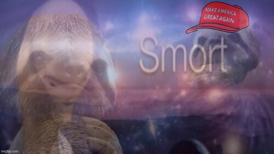 MAGA sloth smort Blank Meme Template