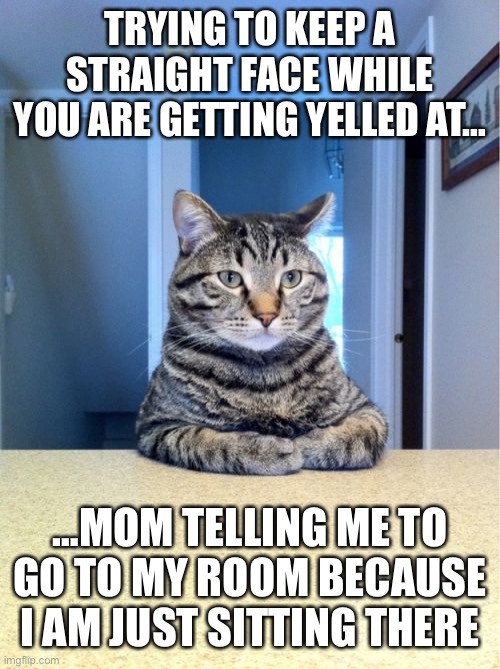 Take A Seat Cat | TRYING TO KEEP A STRAIGHT FACE WHILE YOU ARE GETTING YELLED AT…; …MOM TELLING ME TO GO TO MY ROOM BECAUSE I AM JUST SITTING THERE | image tagged in memes,take a seat cat | made w/ Imgflip meme maker