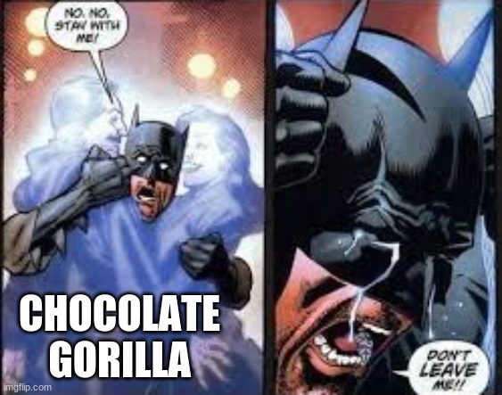No no stay with me | CHOCOLATE GORILLA | image tagged in no no stay with me | made w/ Imgflip meme maker