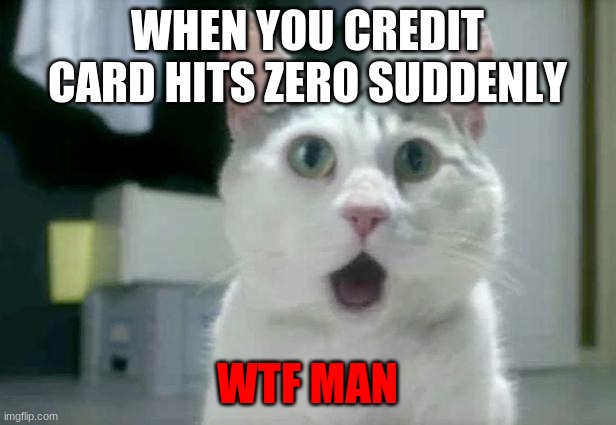 WHAT?!?!? | WHEN YOU CREDIT CARD HITS ZERO SUDDENLY; WTF MAN | image tagged in memes,omg cat | made w/ Imgflip meme maker