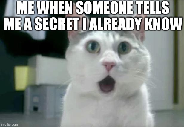 OMG Cat Meme | ME WHEN SOMEONE TELLS ME A SECRET I ALREADY KNOW | image tagged in memes,omg cat | made w/ Imgflip meme maker