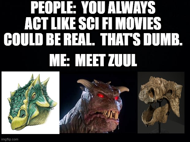 Black background | PEOPLE:  YOU ALWAYS ACT LIKE SCI FI MOVIES COULD BE REAL.  THAT'S DUMB. ME:  MEET ZUUL | image tagged in black background,zuul | made w/ Imgflip meme maker