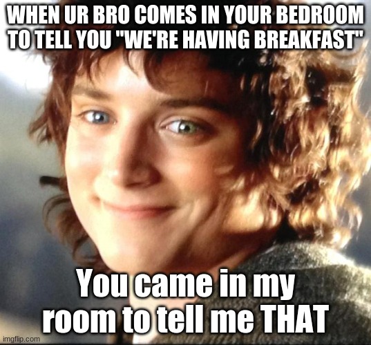 Annoyed Frodo | WHEN UR BRO COMES IN YOUR BEDROOM TO TELL YOU ''WE'RE HAVING BREAKFAST''; You came in my room to tell me THAT | image tagged in annoyed | made w/ Imgflip meme maker
