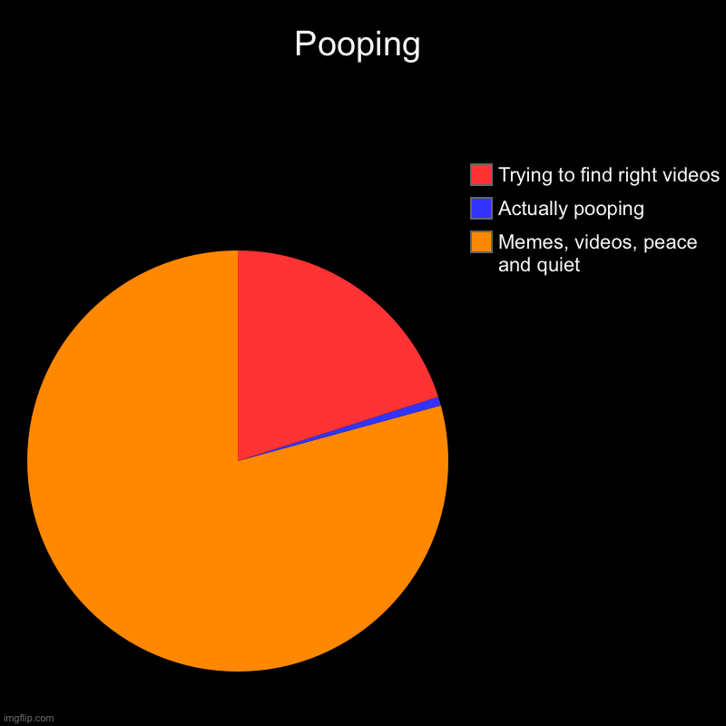 Why i take so long | Pooping | Memes, videos, peace and quiet, Actually pooping , Trying to find right videos | image tagged in charts,pie charts | made w/ Imgflip chart maker