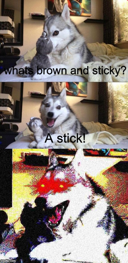 Image tagged in bad joke dog deep fried Imgflip