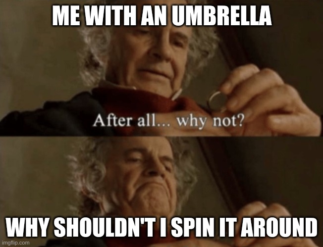 Me all the time | ME WITH AN UMBRELLA; WHY SHOULDN'T I SPIN IT AROUND | image tagged in after all why not | made w/ Imgflip meme maker