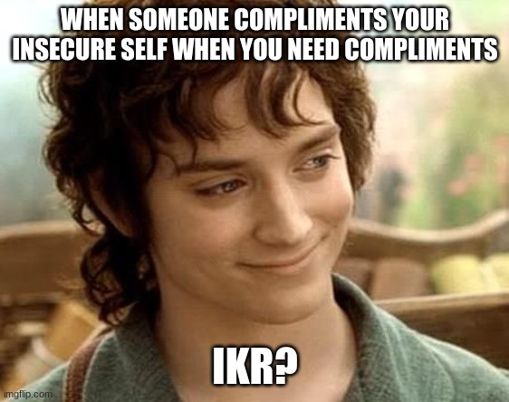 ikr Frodo | WHEN SOMEONE COMPLIMENTS YOUR INSECURE SELF WHEN YOU NEED COMPLIMENTS; IKR? | image tagged in proud | made w/ Imgflip meme maker