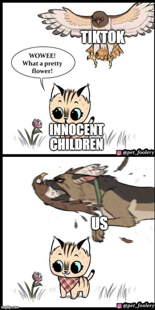 What we work to do... |  TIKTOK; INNOCENT CHILDREN; US | image tagged in brutus and pixie | made w/ Imgflip meme maker