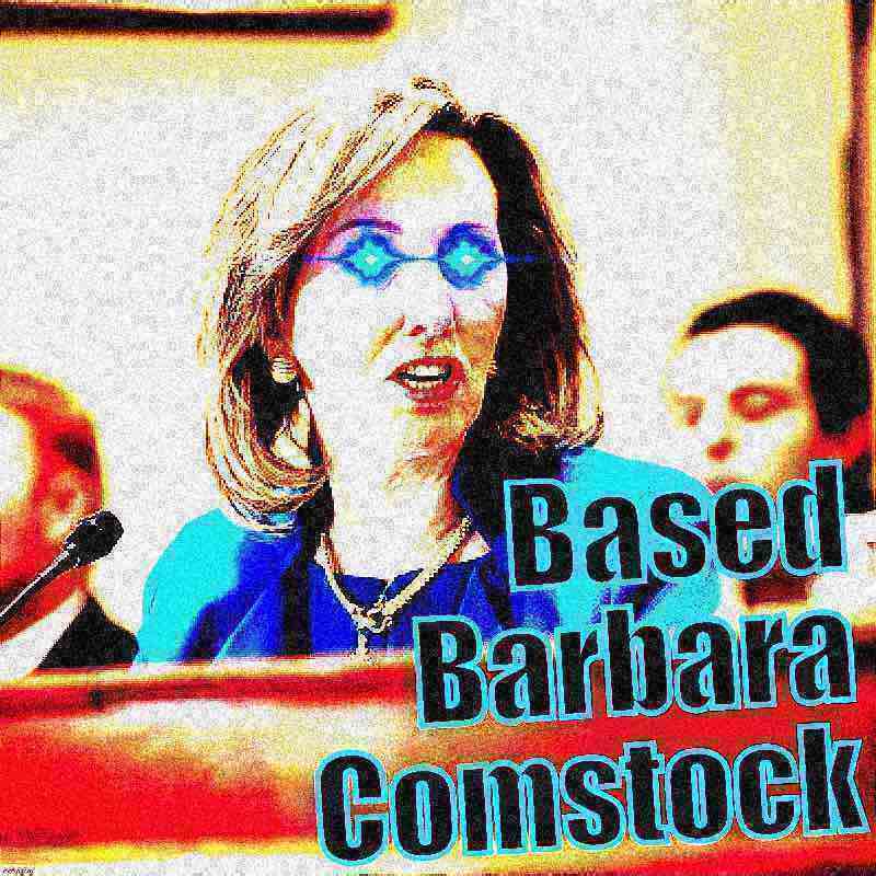 Based Barbara Comstock deep-fried 1 Blank Meme Template