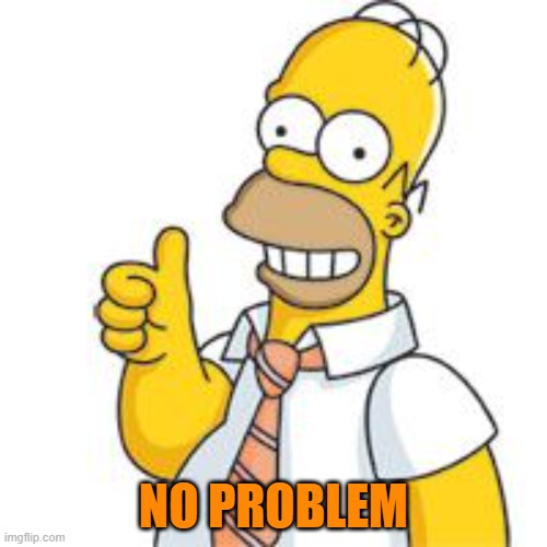 homer no problemo | NO PROBLEM | image tagged in homer no problemo | made w/ Imgflip meme maker